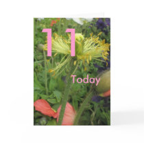11th Birthday cards