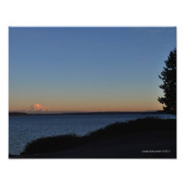 11X14 Mount Rainier and Nisqually Reach Photo Print