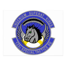 123d Special Tactics Squadron Postcards