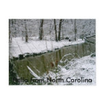 124, Hello from North Carolina Post Card