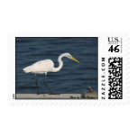 127_2773 copyedit postage