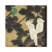 12. 老松鸚鵡図, 若冲 Pine-tree & Parrot, Jakuchū Fridge Magnets