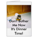 12-30-2008 06;09;30PM, Don't Bother Me NowIt's ... cards