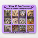 12 CUTE YORKIES  -Mousepad Customized