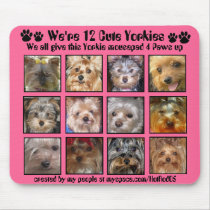12 CUTE YORKIES -Mousepad Customized - 4 Paws up