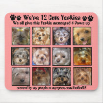 12 CUTE YORKIES -Mousepad Customized - 4 Paws up