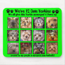 12 CUTE YORKIES -Mousepad Customized - 4 Paws up mousepads