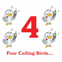 12 days four calling birds photo sculpture