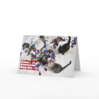 12 Days of Christmas Greeting Card