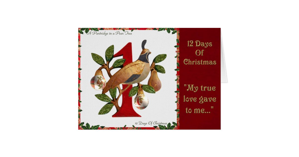 12 days of christmas partridge in a pear tree card zazzle 12 days of christmas partridge in a pear tree card zazzle