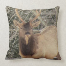 #12-Elk Stag Pillows