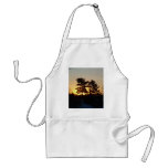 12 February 2010 Aprons