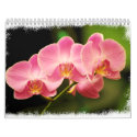12 Months of Beautiful Orchids calendars by Perpertual_Art 12 Months of Beautiful Orchids calendars