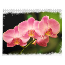 12 Months of Beautiful Orchids Calendars