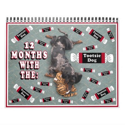 12 months with the tootise dog wall calendars by ChevyM14