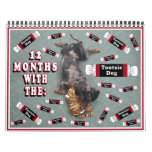 12 months with the tootise dog wall calendars