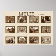 12 Mules Posters