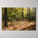 12x18 Fall on the Bolles Trail Print