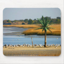 134_3481 copy print, Photo by Pam Teague mousepads by beamertg 134_3481 copy print, Photo by Pam Teague mousepads