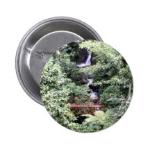 138-1.jpg button