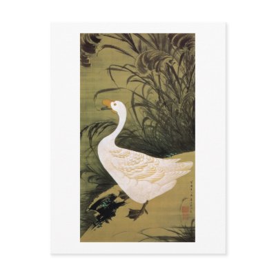 13. 芦鵞図, 若冲 Reed & Goose, Jakuchū, Japan Art Post Cards by ukiyoemuseum