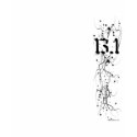 13.1 Splatter t-shirts