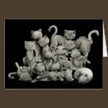 13 Black Cats Lucky Card