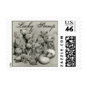 13 Black Cats Lucky Postage Stamp