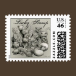13 Black Cats Lucky Postage Stamp