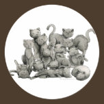 13 Lucky Black Cats Sticker
