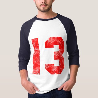 13th Birthday Gifts Tee Shirt