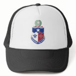 141 Infantry regiment Mesh Hat
