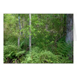 14300075 GREETING CARD
