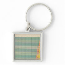 143 Farm area by tenure Keychain