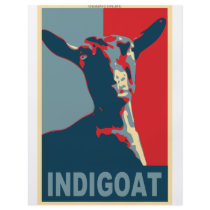 1448603-indigoat flyers by nsheon 1448603-indigoat flyers