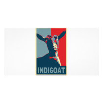 1448603-indigoat photo cards by nsheon 1448603-indigoat photo cards