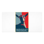 1448603-indigoat picture card