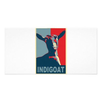 1448603-indigoat picture card by nsheon