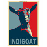 oberhasli, goat, indigoat, milk, oberama