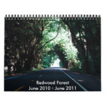 149, Redwood ForestJune 2010 - June 2011 Wall Calendars