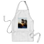 14 February 2010 Apron