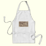 1507 Martin Waldseemuller World Map aprons