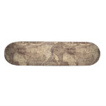 1507 Martin Waldseemuller World Map Skate Decks
