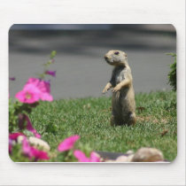 156_5615 mousepads