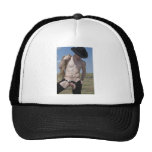 15970-RA Cowboy Mesh Hat