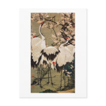 15. 梅花群鶴図, 若冲 Plum Blossoms & Cranes, Jakuchū Postcard