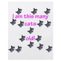 15 Cat Heads Old Flyer
