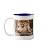 15a Pug Puppies
