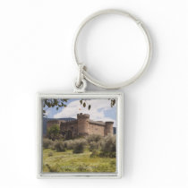 15Th Century Castle Of The Duke Of Alburquerque Keychain