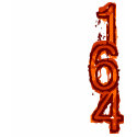 164 acceptance in orange t-shirts